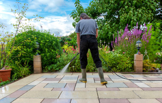 Best Sidewalk and Walkway Cleaning  in Elberton, GA